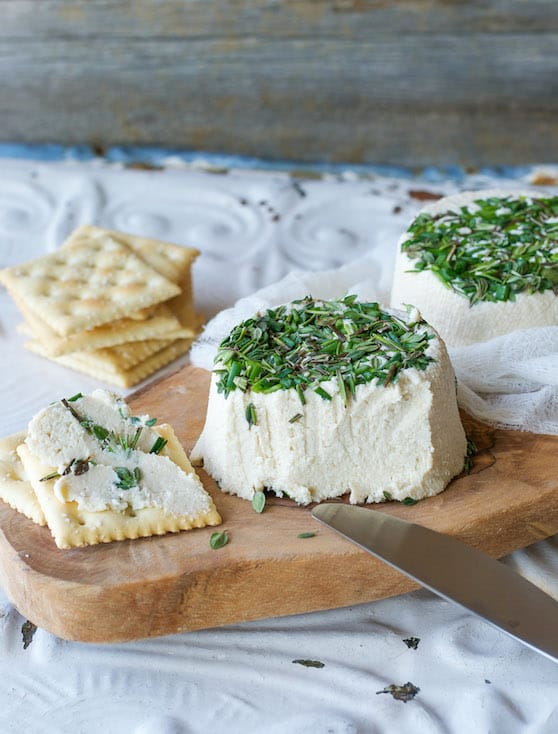 Roasted Garlic and Fresh Herb Cream Cheez