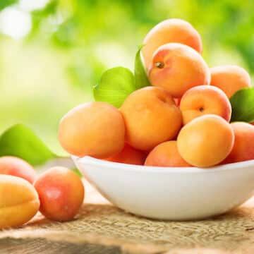 Apricots on table