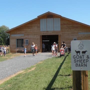 Goat and sheep barn at Woodstock Farm Animal Sanctuary