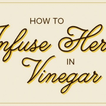 herb infused vinegar