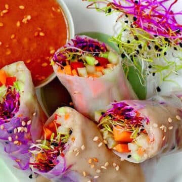 Sophisticated Summer Rolls cropped