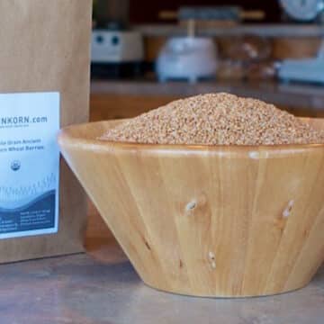 Einkorn wheat