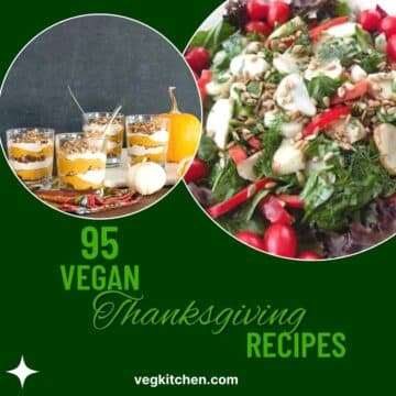 Vegan Thanksgiving Recipes