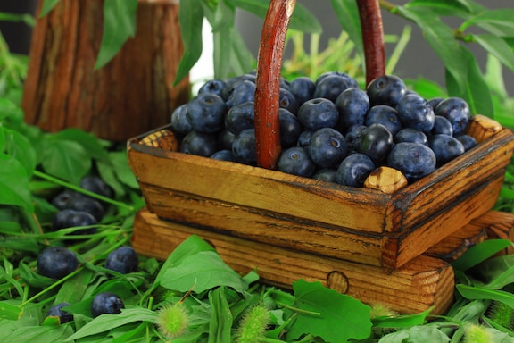 Blueberries in wooden basket 
