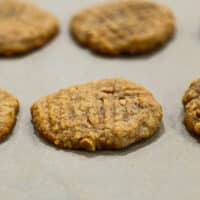 Vegan Peanut Butter Cookies