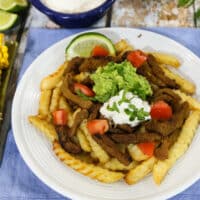 Vegan carne asada fries