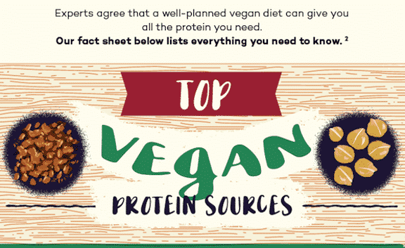 Protein Content Of Vegetables Chart