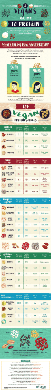 A Vegan Protein Sources Chart | VegKitchen.com