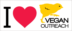 Vegan outreach bumper sticker