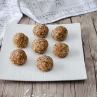 Vegan Oatmeal Energy Bites