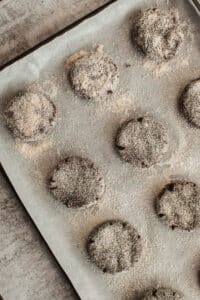 vegan chocolate cookies