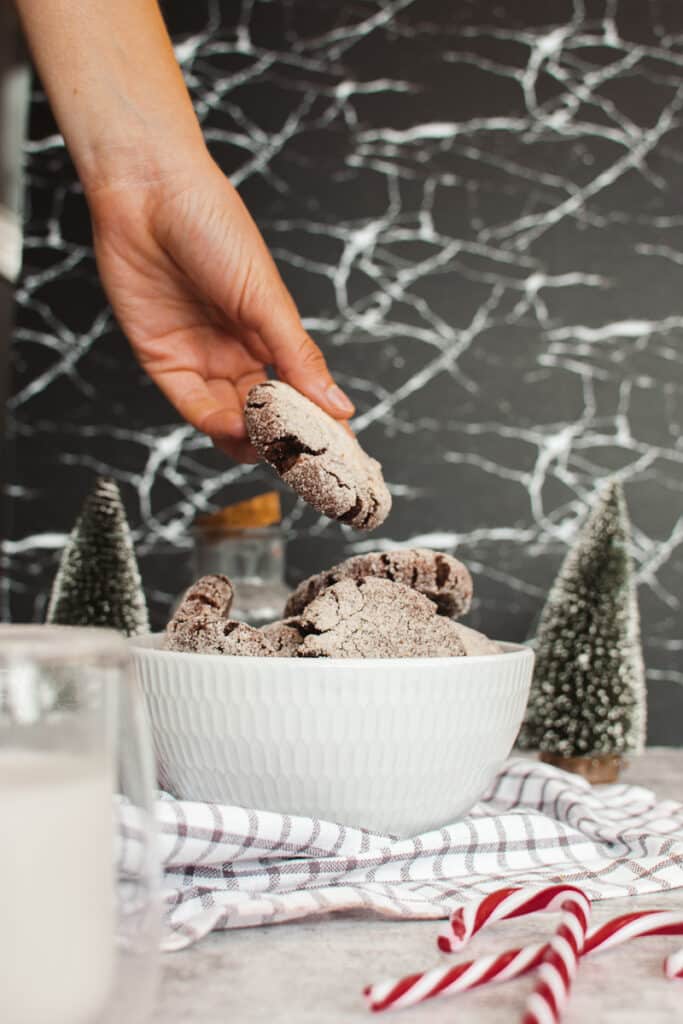 hand holding vegan chocolate cookies with a white bowl