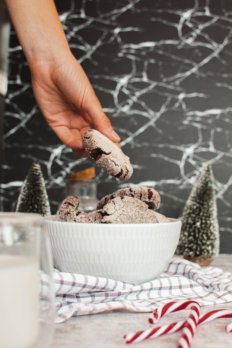 Mano sujetando galletas de chocolate veganas con un tazón blanco