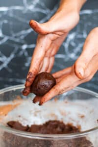 vegan crinkle cookies