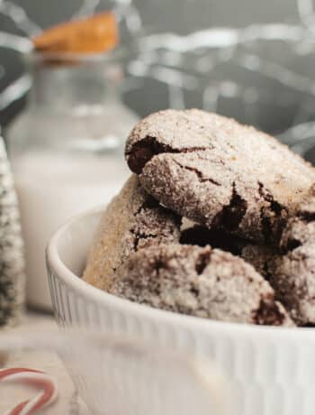 vegan chocolate cookies