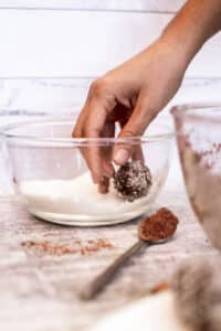 vegan protein balls