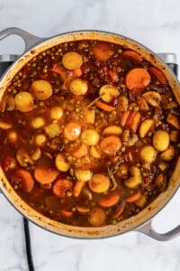 vegan irish stew