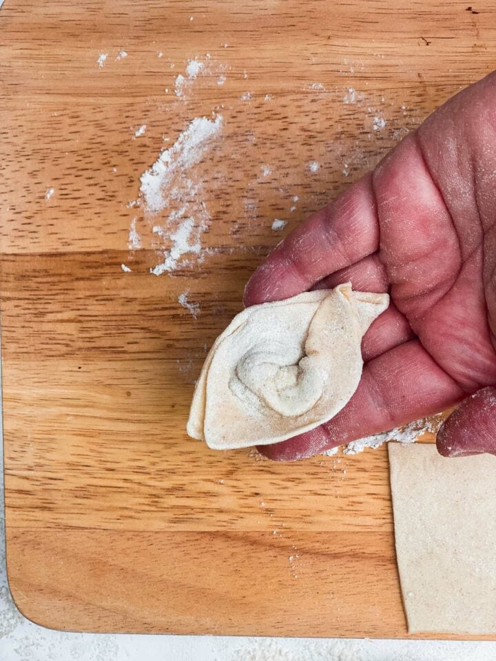 Hand holding homemade wonton