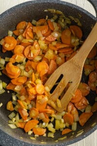 vegan lentil soup