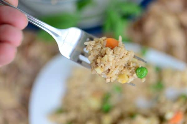 vegan fried rice on a fork