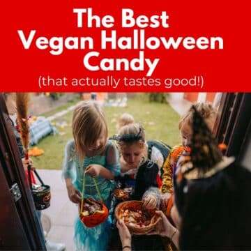 the best vegan halloween candy - that actually tastes good
