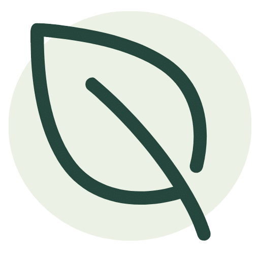 favicon image showing a green leaf, for vegan food blog