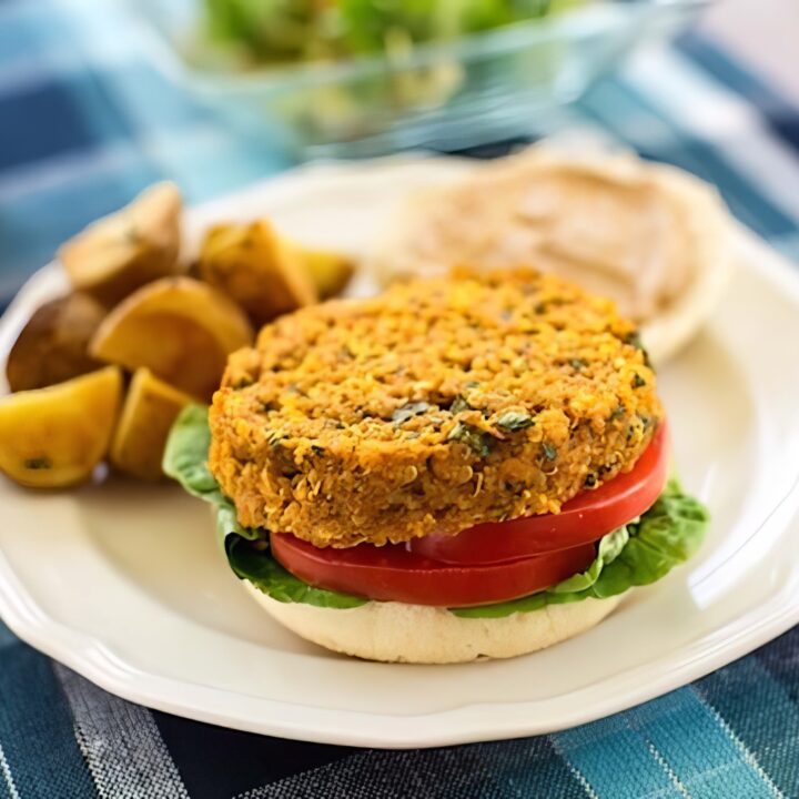 Quinoa and red lentil burger square
