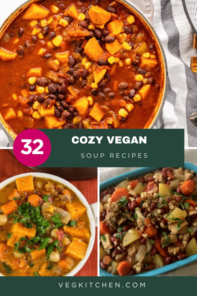 Cozy Vegan Soup Recipes Pinterest pin 2