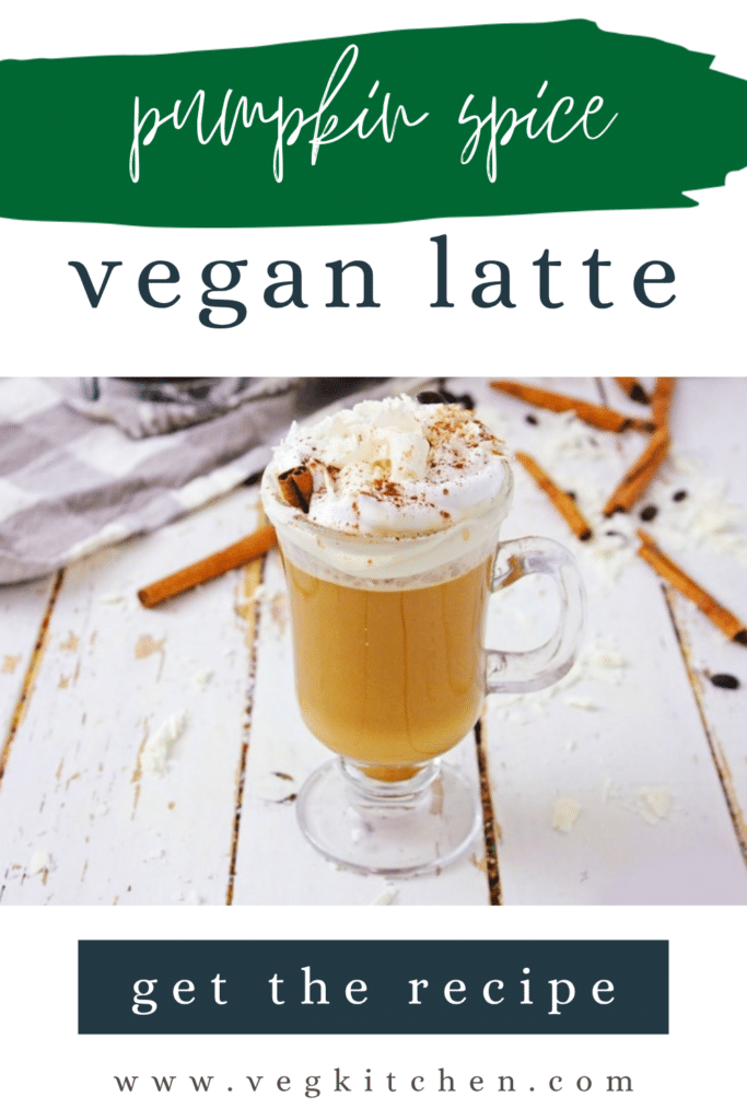 Homemade Vegan Pumpkin Spice Latte - dairy-free recipe from VegKitchen