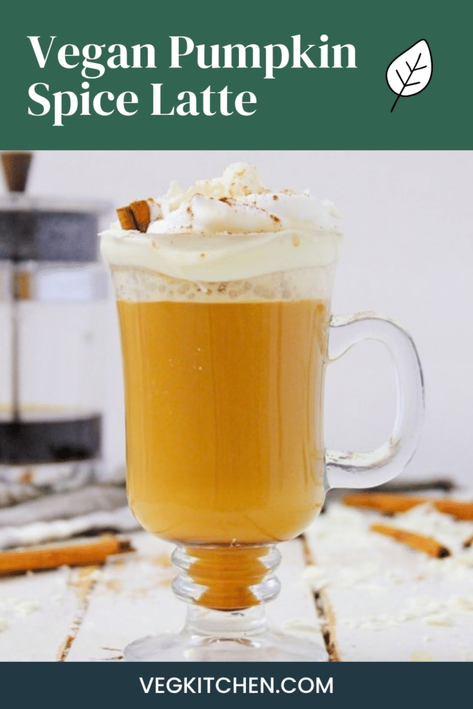 Homemade Vegan Pumpkin Spice Latte - dairy-free recipe from VegKitchen