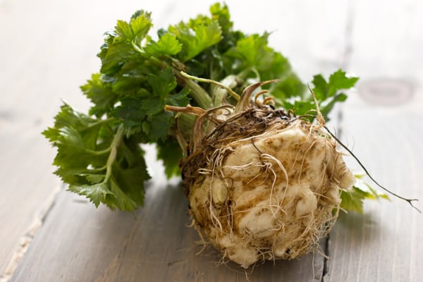 A whole celeriac (celery root) with its knobby skin, rootlets and leafy green top